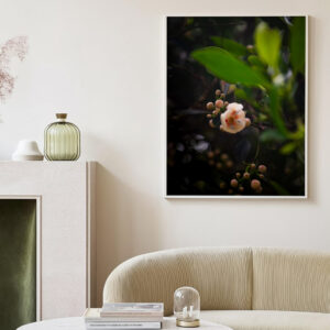 Hawaii Oahu Macro Flower – Dark Pink Fine Art Print | Tropical Floral Photography Wall Art