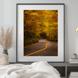 Mount Greylock Auto Road – Fall Foliage Western Massachusetts Fine Art Print | New England Autumn Photography Wall Art