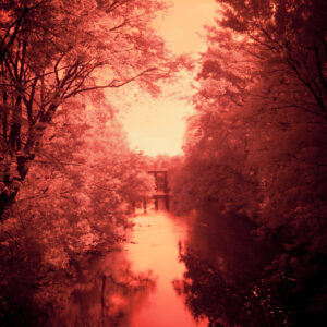 Infrared Photography - Red Fine Art Photography