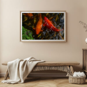Orange Yellow Koi Fishes of Oahu – Byodo-In Temple Hawaii Fine Art Print | Tranquil Japanese Garden Photography Wall Art