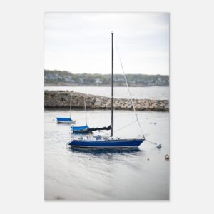 4e68e366-0186-40d0-a678-ea1e1850e039